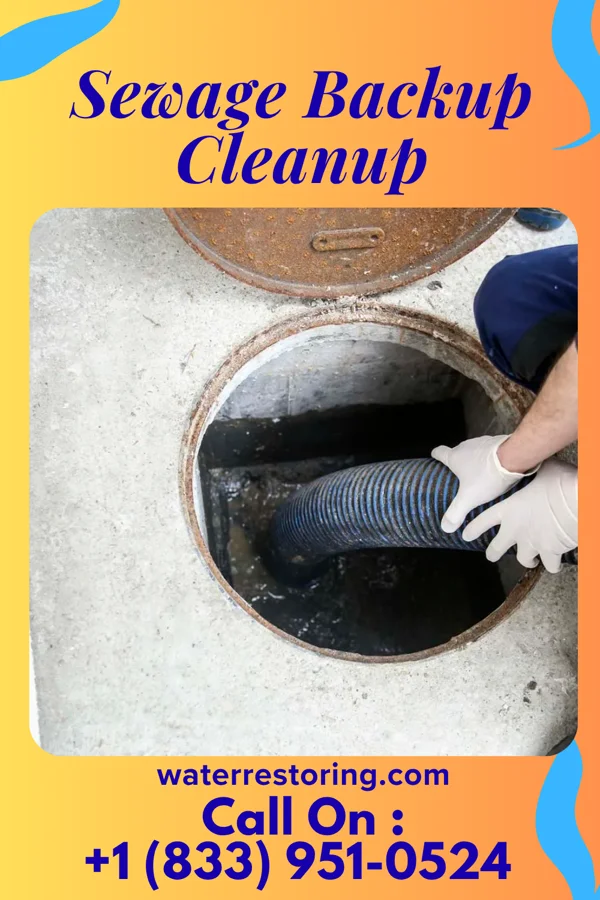 Sewage Backup Cleanup in Elk Creek, KY