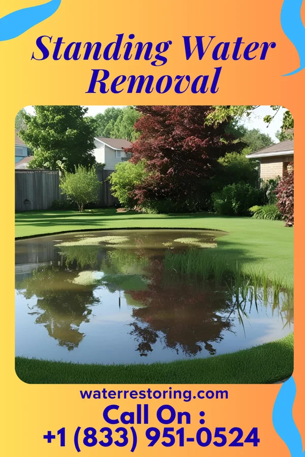 Standing Water Removal in Elk Creek, KY